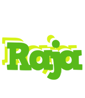 raja picnic logo