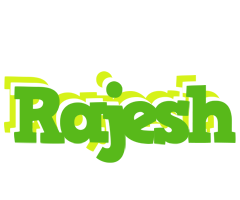 rajesh picnic logo