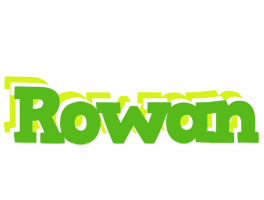 rowan picnic logo