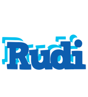 rudi business logo