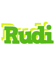 rudi picnic logo