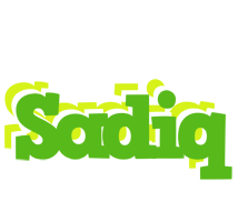 sadiq picnic logo