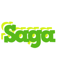 saga picnic logo