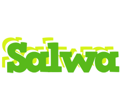 salwa picnic logo