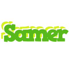 samer picnic logo