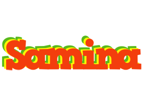 samina bbq logo
