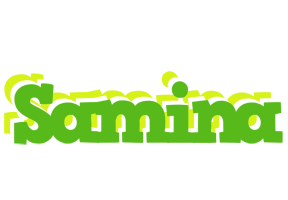 samina picnic logo