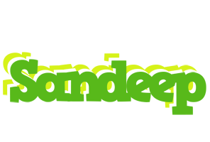 sandeep picnic logo