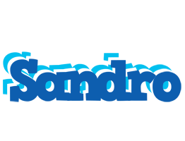 sandro business logo