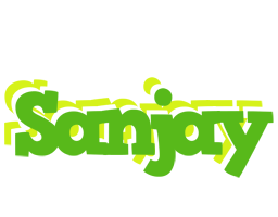 sanjay picnic logo