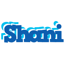 shani business logo