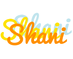 shani energy logo
