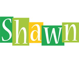 shawn lemonade logo