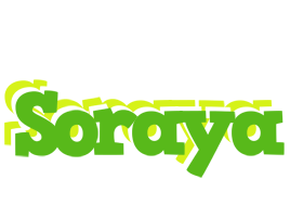 soraya picnic logo