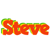 steve bbq logo