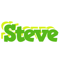 steve picnic logo