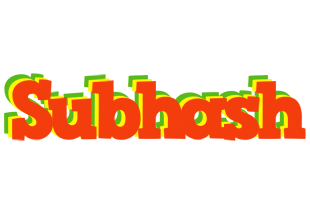 subhash bbq logo