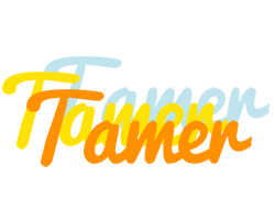 tamer energy logo