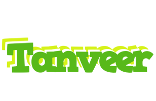 tanveer picnic logo