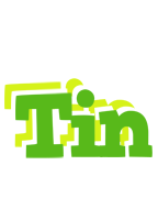 tin picnic logo