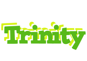 trinity picnic logo