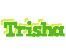 trisha picnic logo