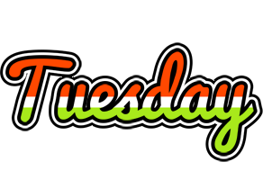 tuesday exotic logo