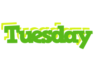 tuesday picnic logo