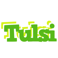 tulsi picnic logo