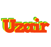 uzair bbq logo