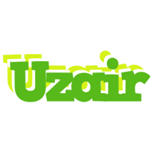 uzair picnic logo