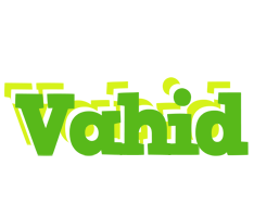 vahid picnic logo