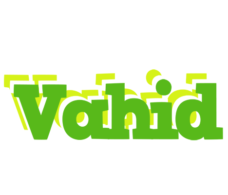 vahid picnic logo