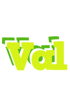 val citrus logo