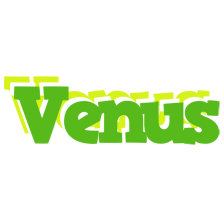 venus picnic logo