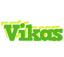 vikas picnic logo