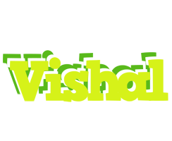 vishal citrus logo