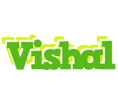 vishal picnic logo