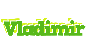 vladimir picnic logo