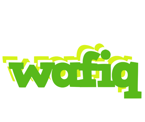 wafiq picnic logo