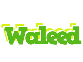 waleed picnic logo