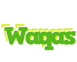 waqas picnic logo