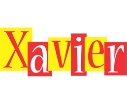 xavier errors logo