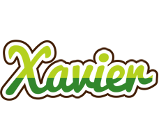 xavier golfing logo