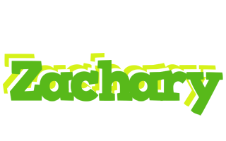 zachary picnic logo