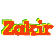 zakir bbq logo