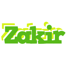 zakir picnic logo