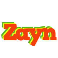 zayn bbq logo