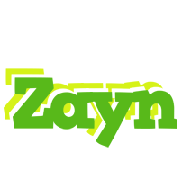 zayn picnic logo