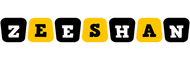 zeeshan boots logo